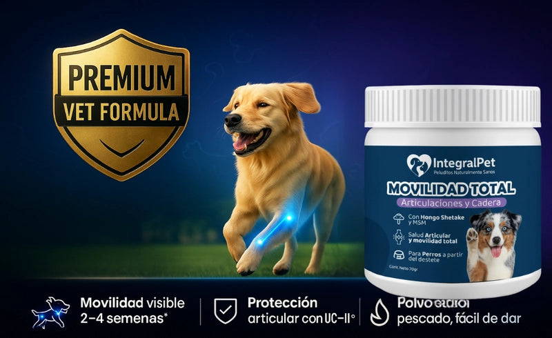 https://cdn.dropmagic.ai/medias/b60f186f-41e7-4179-bae7-f192a04b42a8.webp